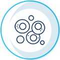 Cell Line Generation - SB Drug Discovery