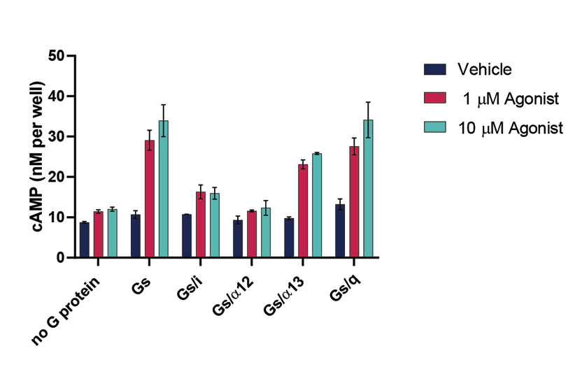 Optimizing GPCR assays with chimeric G proteins