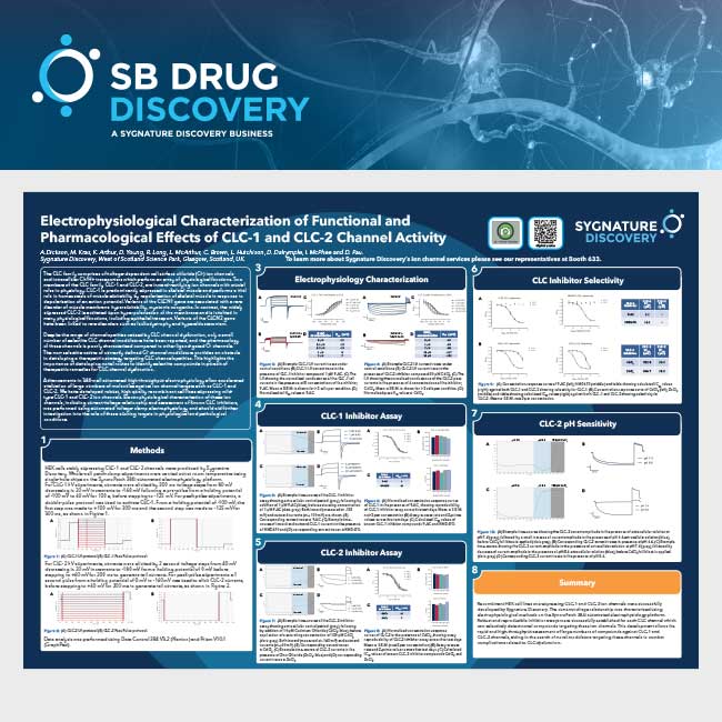 Electrophysiological Characterization of Functional and Pharmacological Effects of CLC-1 and CLC-2 Channel Activity