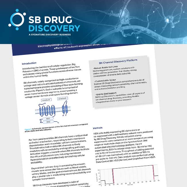 functional and pharmacological effects of β subunit