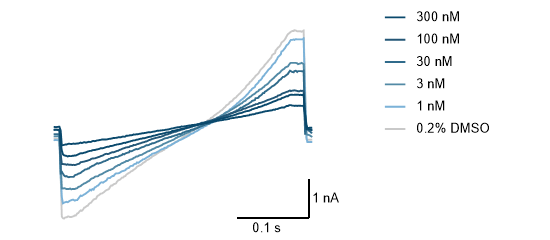 Figure 1: Representative TRPA1 current traces before (grey line) and during the presence of increasing concentrations of the blocker A967079 (blue lines). A 300 ms ramp protocol from -60 mV to +60 mV, from a holding potential of +0 mV and repeated every 30 seconds is used to monitor the TRPA1 current.<br />
