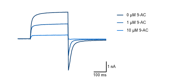 Chloride Channel Traces Graph