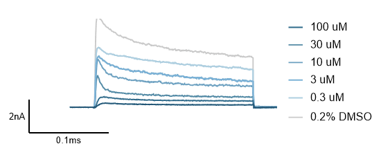 Figure 1: Representative Kv1.7 current traces before (grey line) and during the presence of increasing concentrations of the blocker Quinidine (blue lines). Currents are obtained using voltage protocol consisting of a pulse from  -80 mV tp +40 mV over 200 ms.<br />
