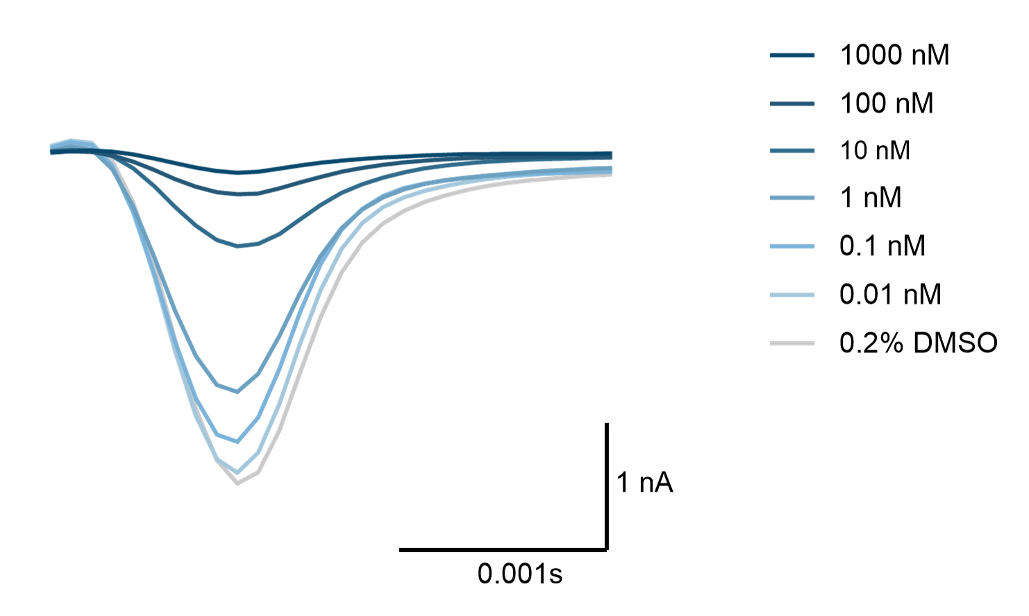 Figure 1: Representative Nav1.1 current traces before (grey line) and during the presence of increasing concentrations of the blocker tetrodotoxin (blue lines). Currents are obtained using a steady-state protocol at -120mV.<br />
